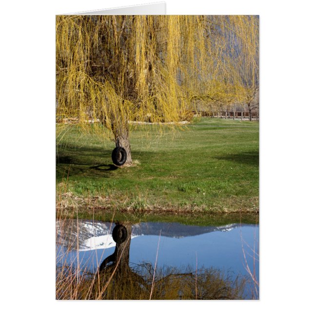 Tarjeta de confort Spring Pond (Frente)