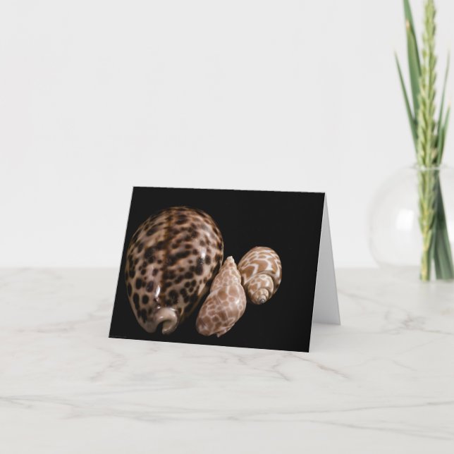 Tarjeta de conos de vaca (Anverso)