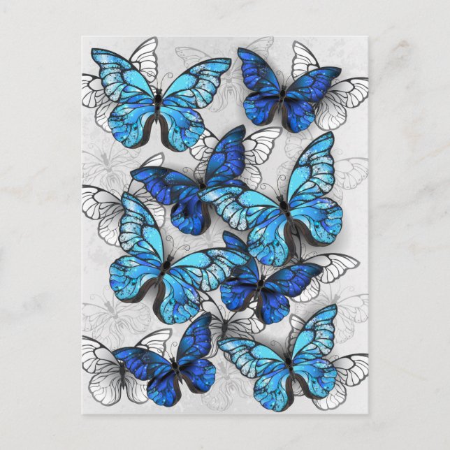 Tarjeta De Consejos Composición de las mariposas blancas y azules (Anverso)