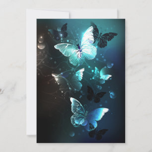 Tarjeta De Consejos Mariposas nocturnas