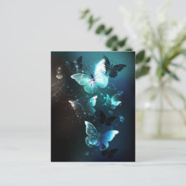 Tarjeta De Consejos Mariposas nocturnas