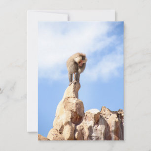 Tarjeta De Consejos Mono babuino en la cima de una montaña