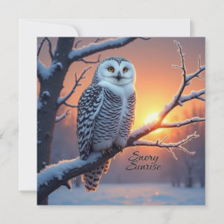 Tarjeta De Consejos Snowy Sunrise Woodland Trust Fairdeal Navidades