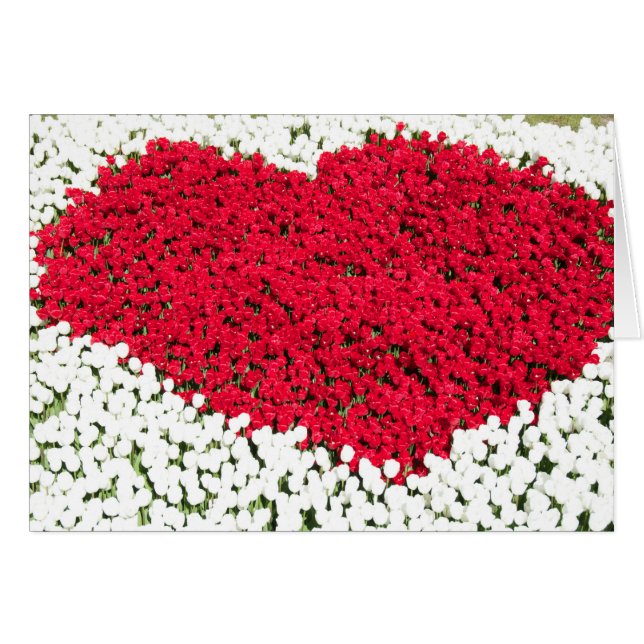 Tarjeta de corazón de tulipanes de amor (Anverso (Horizontal))