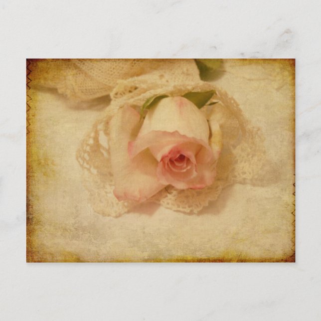 Tarjeta de correo con Rosa de época (Anverso)