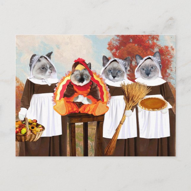 Tarjeta de correo de agradecimiento para gatitos (Anverso)