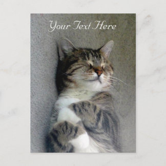 Tarjeta de correo de gato feliz de personalizable