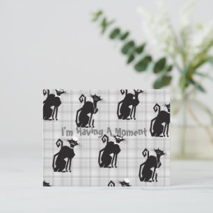 Tarjeta de correo de gatos profesional