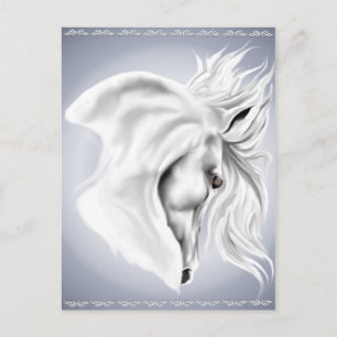 Tarjeta de correo de la cabeza del caballo blanco
