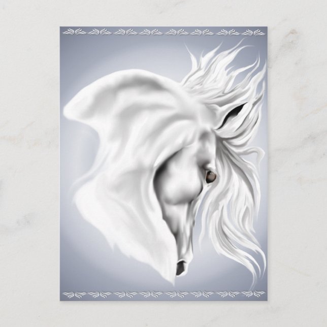 Tarjeta de correo de la cabeza del caballo blanco (Anverso)