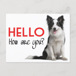 Tarjeta de correo de perro collie pippy