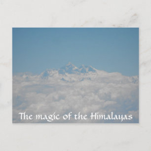 Tarjeta de correo de semillas pequeñas 4