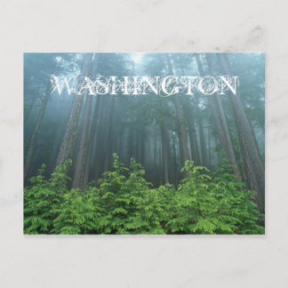 Tarjeta de correo del estado de Washington