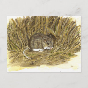 Tarjeta de correo del ratón de campo