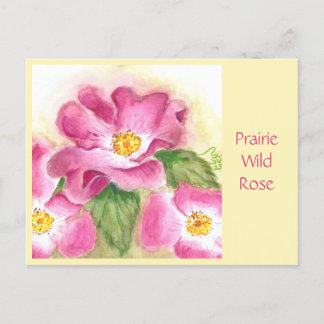 Tarjeta de correo Prairie Wild Rosa
