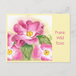 Tarjeta de correo Prairie Wild Rosa