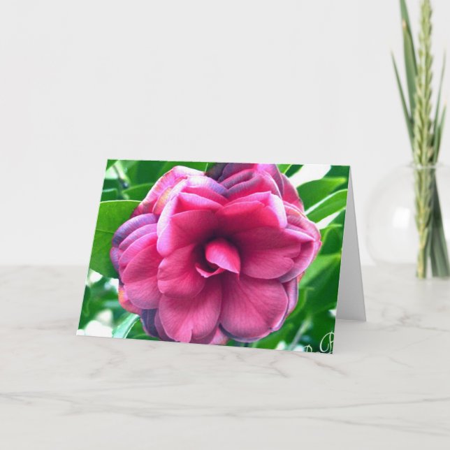 Tarjeta de correspondencia estacional de camellia (Anverso)