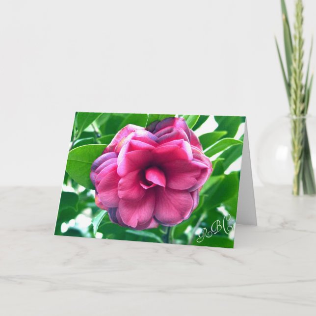 Tarjeta de correspondencia estacional de camellia (Anverso)