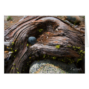 Tarjeta de corrientes