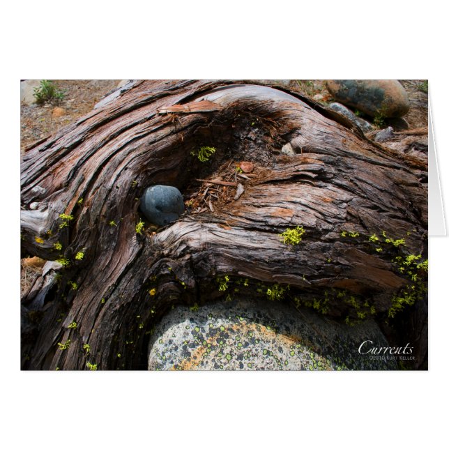 Tarjeta de corrientes (Anverso (Horizontal))