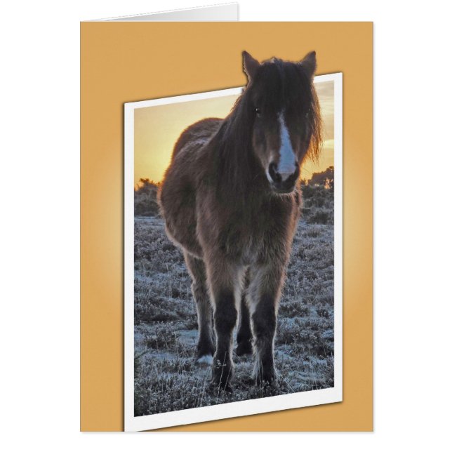 Tarjeta de corte de Pony (Frente)