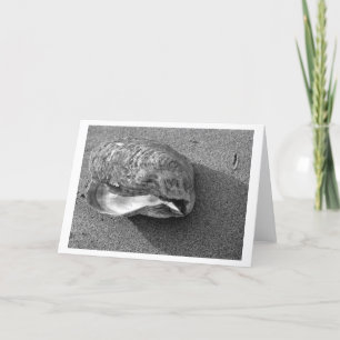 Tarjeta de cubierta de águila (blanco y negro)