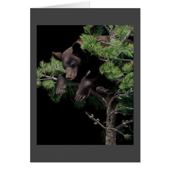 Tarjeta de cubo de oso "órdenes de mamá" (Frente)