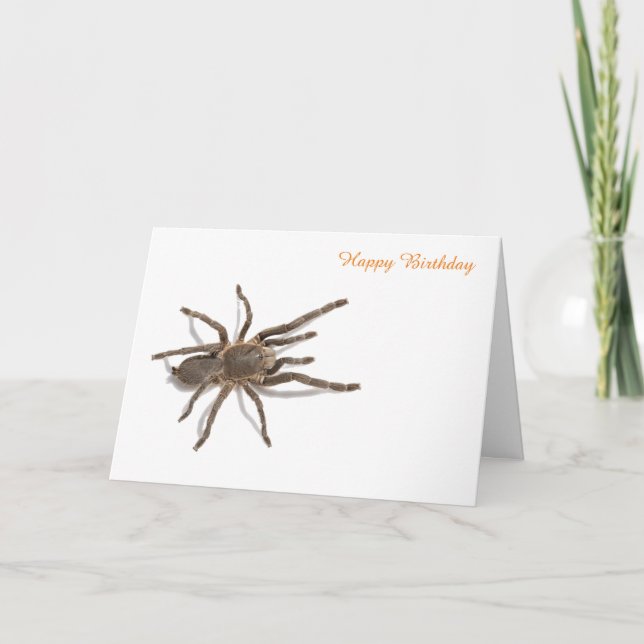 Tarjeta de cumpleaños (Anverso)