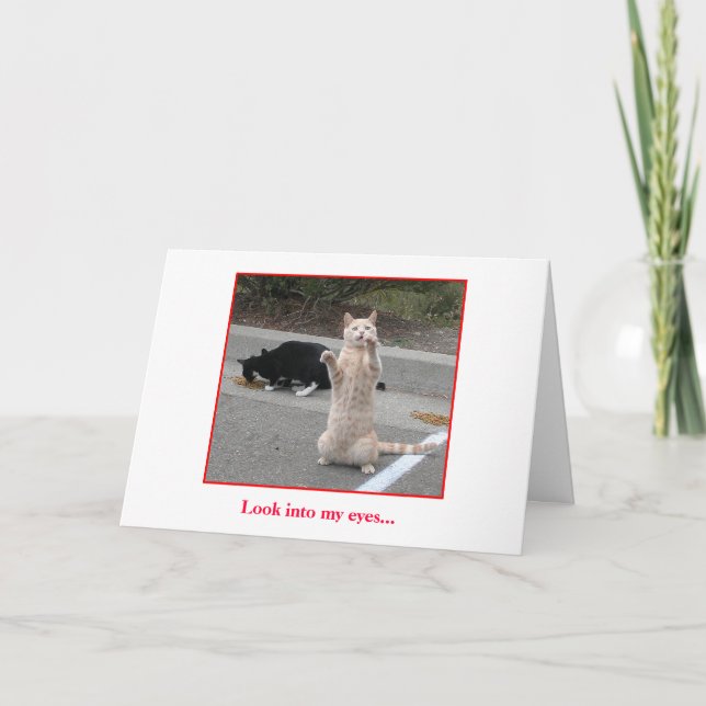 Tarjeta de cumpleaños (Anverso)