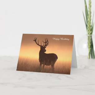 Tarjeta de Cumpleaños