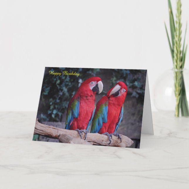 Tarjeta de cumpleaños (Anverso)