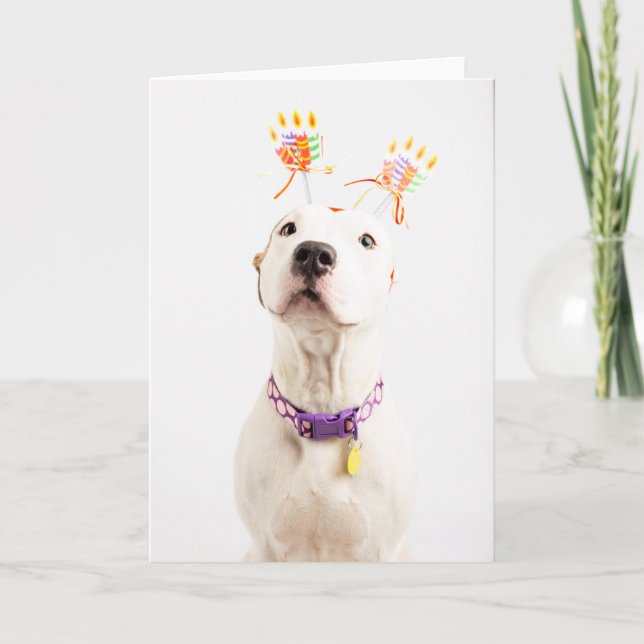 Tarjeta de cumpleaños (Anverso)