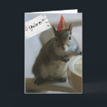 Tarjeta de cumpleaños 21 de Funny Squirrel<br><div class="desc">Tarjeta de cumpleaños 21 de Funny Squirrel; dentro de la tarjeta: hasta el bar,  ¡y te compraré algunas nueces de cerveza!</div>