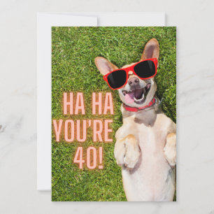 Tarjeta de cumpleaños 40 del perro riéndose