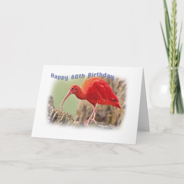 Tarjeta de cumpleaños 60 Scarlet Ibis Bird (Anverso)