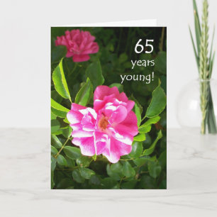Tarjeta de cumpleaños 65 - rosas rosadas