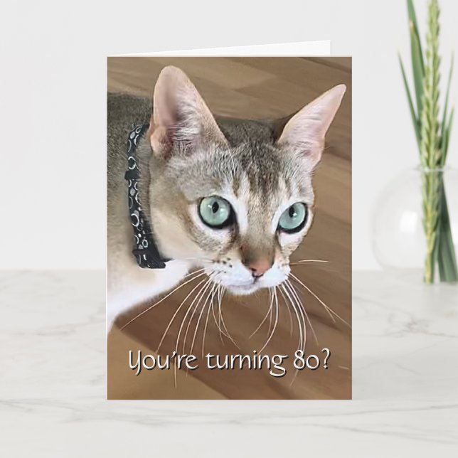 Tarjeta de cumpleaños 80 para gato incrédulo (Anverso)