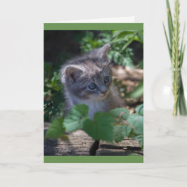 Tarjeta de cumpleaños adorable del gatito