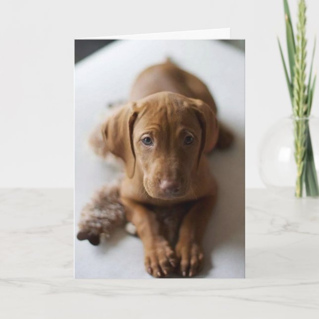 Tarjeta de cumpleaños adorable del perro de (Anverso)