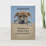Tarjeta de cumpleaños Adorable Grandson<br><div class="desc">Adorable tarjeta de cumpleaños de nieto que es personalizable con tu mensaje personalizado.</div>