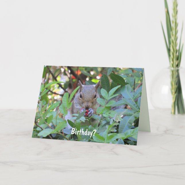 Tarjeta de cumpleaños Adorable Squirrel (Anverso)