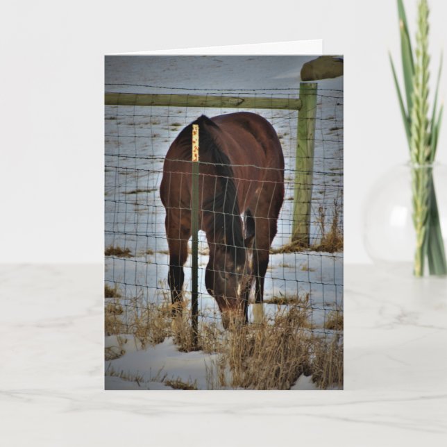 Tarjeta de cumpleaños "Agape Acres" (Anverso)