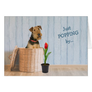 Tarjeta de cumpleaños Airedale Terrier Dog Wicker