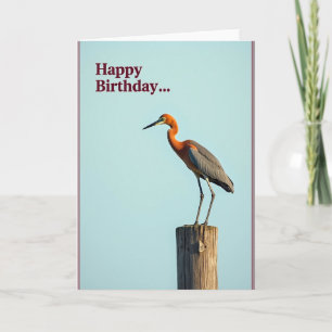Tarjeta de cumpleaños alegre para Avian Grace