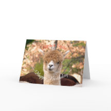 Tarjeta de cumpleaños Alpaca Belle