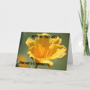 Tarjeta de cumpleaños amarilla del Daylily