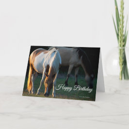 Tarjeta de cumpleaños American Paint Horse