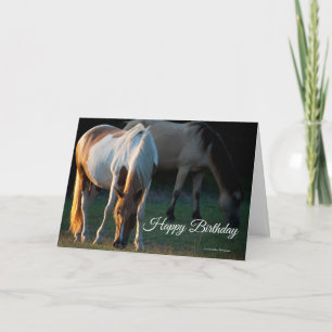 Tarjeta de cumpleaños American Paint Horse