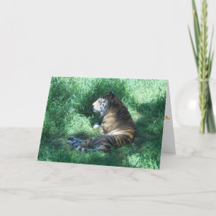 Tarjeta de cumpleaños "Amur Tiger"