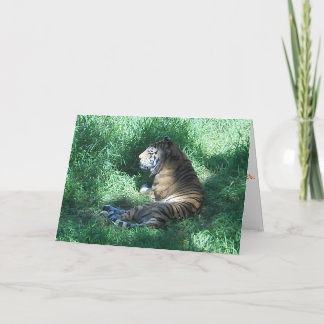 Tarjeta de cumpleaños "Amur Tiger" (Anverso)